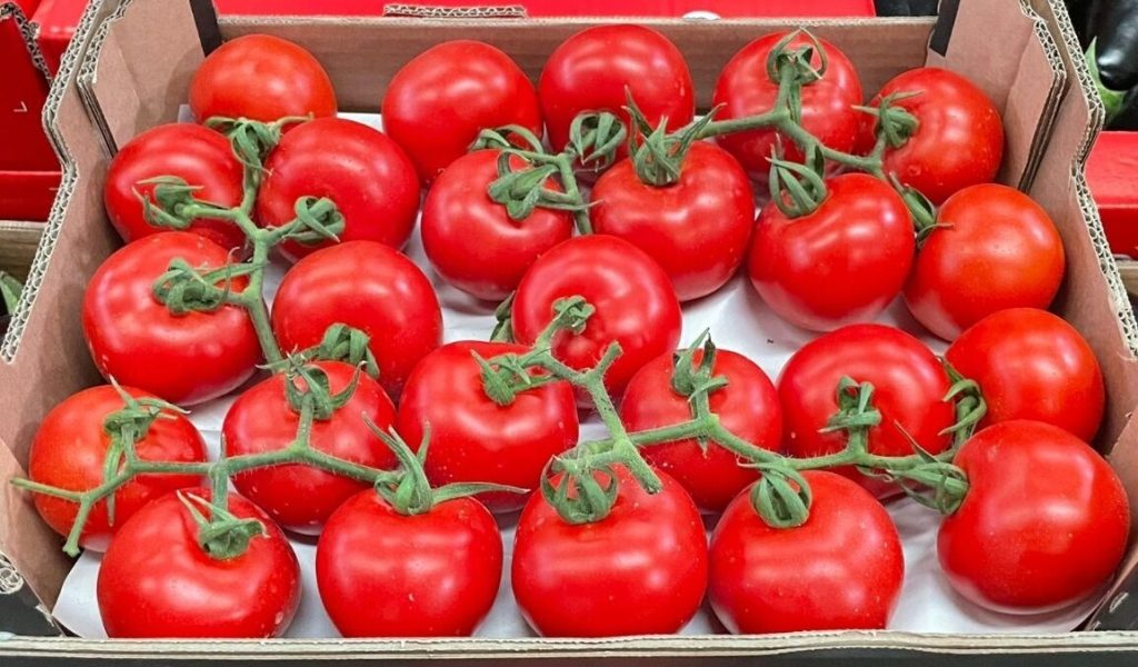 Caja de Rociani con tomates en rama
