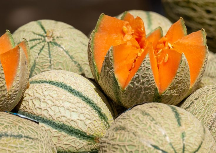Melones Cantaloup abiertos