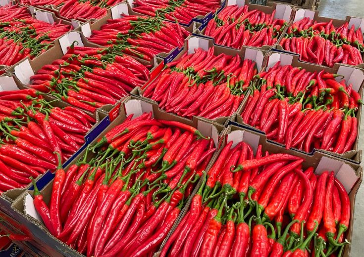 Cajas de Rociani con chiles